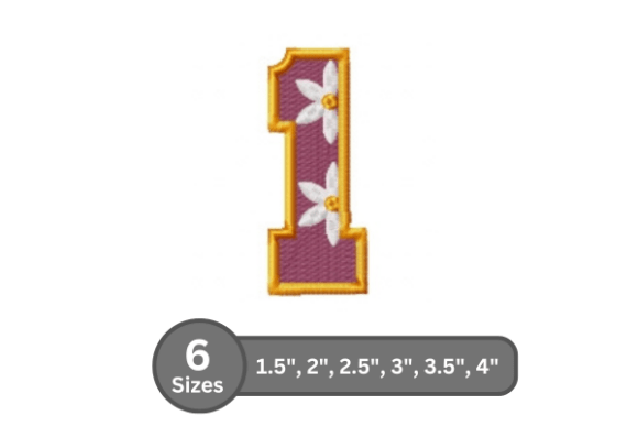 Stylish Daisy Joy Number -1 for Boutique Sweatshirts